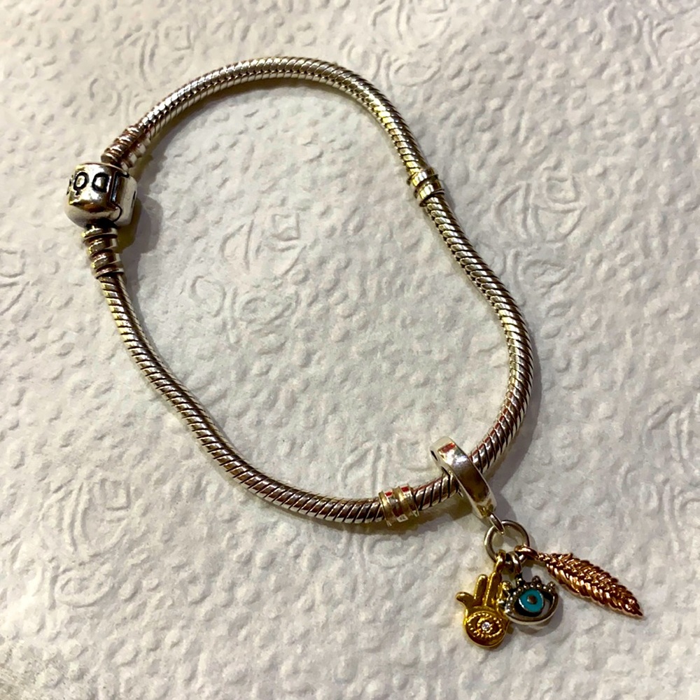 Pandora Bracelet with a charm!